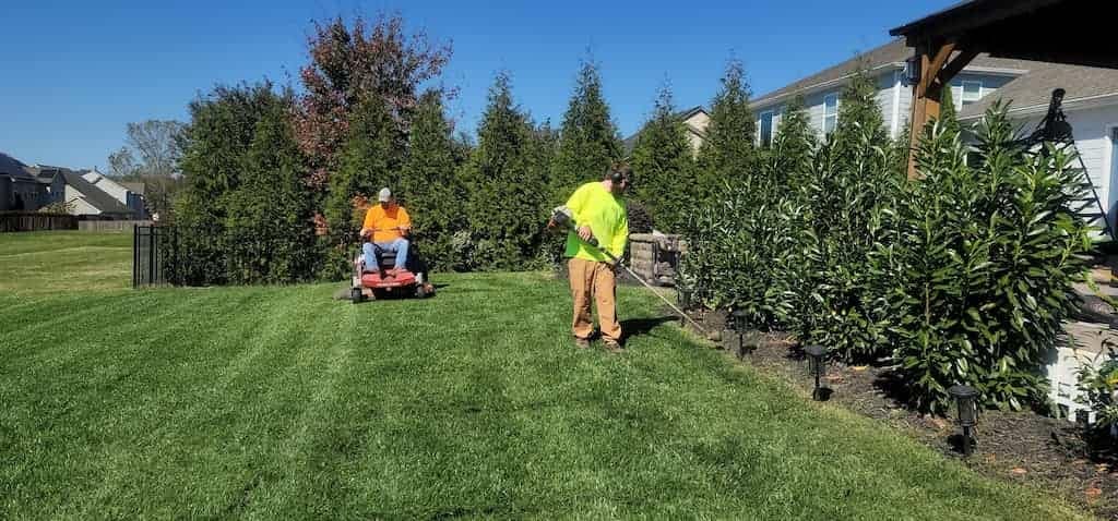 Workers Mowing Lawn and Pulling Weeds Easy to Maintain Artificial Turf