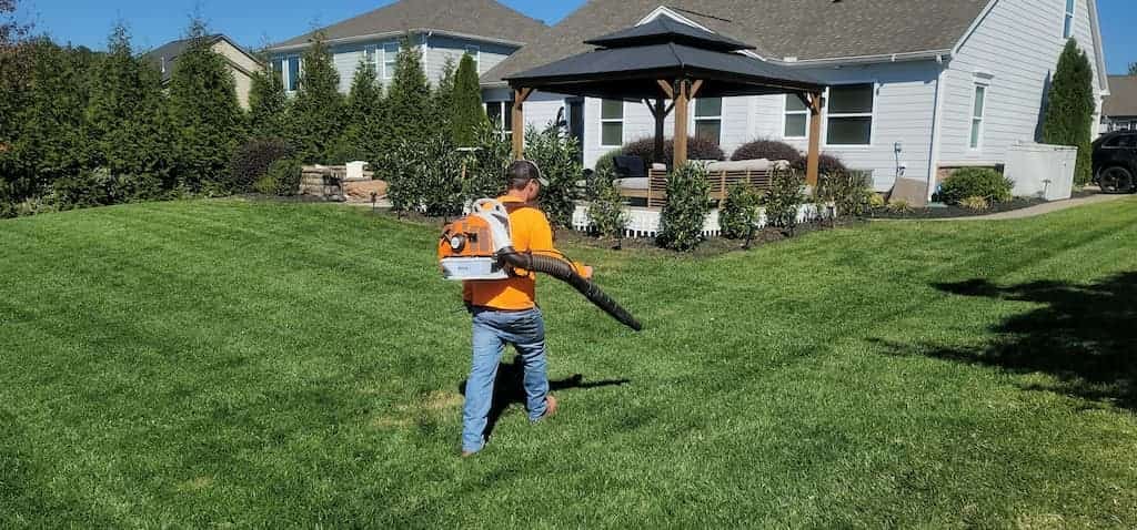 Man in Orange Shirt with Leaf Blower Artificial Grass Leaf Blower