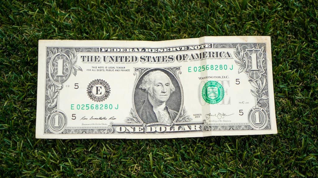 One Dollar Bill on Artificial Grass Buying Artificial Turf