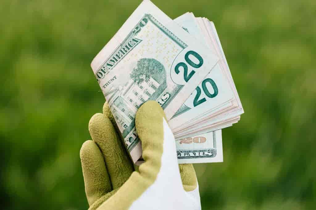 Hand Holding Dollars Over Grass Reduce Water Bill with Artificial Grass