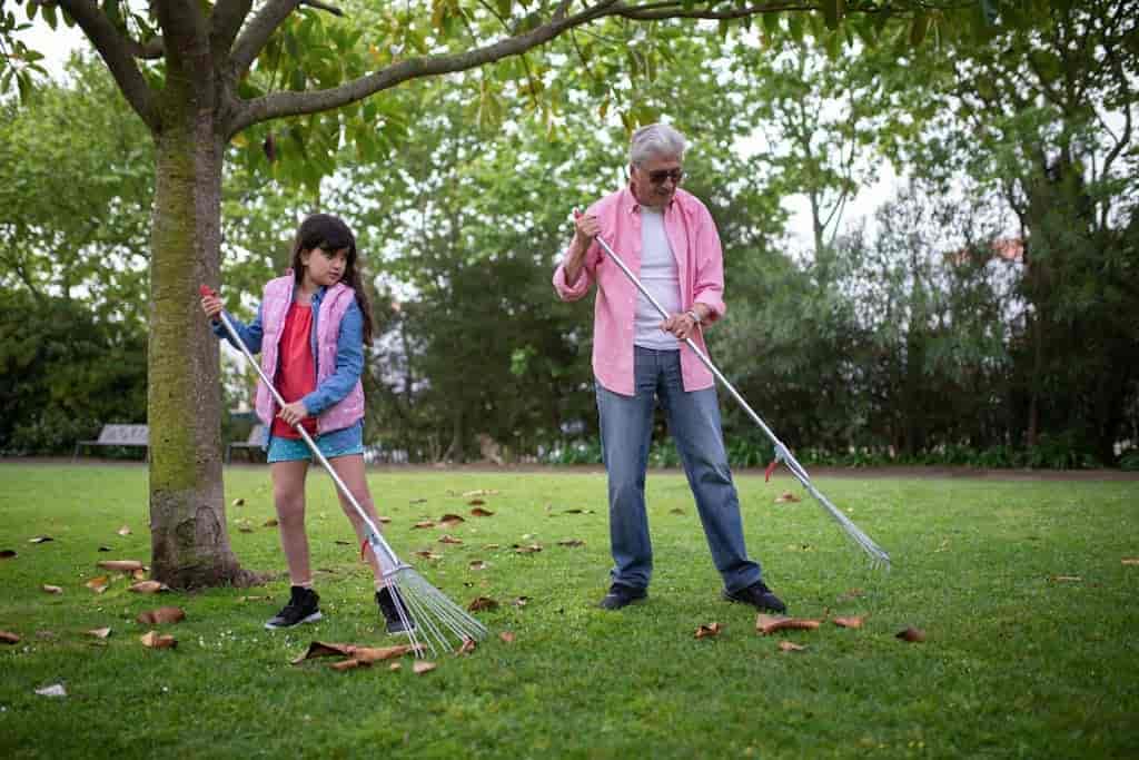 Man and Girl Raking Dried Leaves How to Clean Artificial Grass