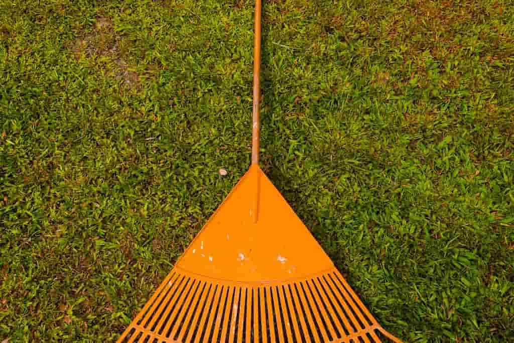 Orange Rake on Grass Artificial Grass Rake