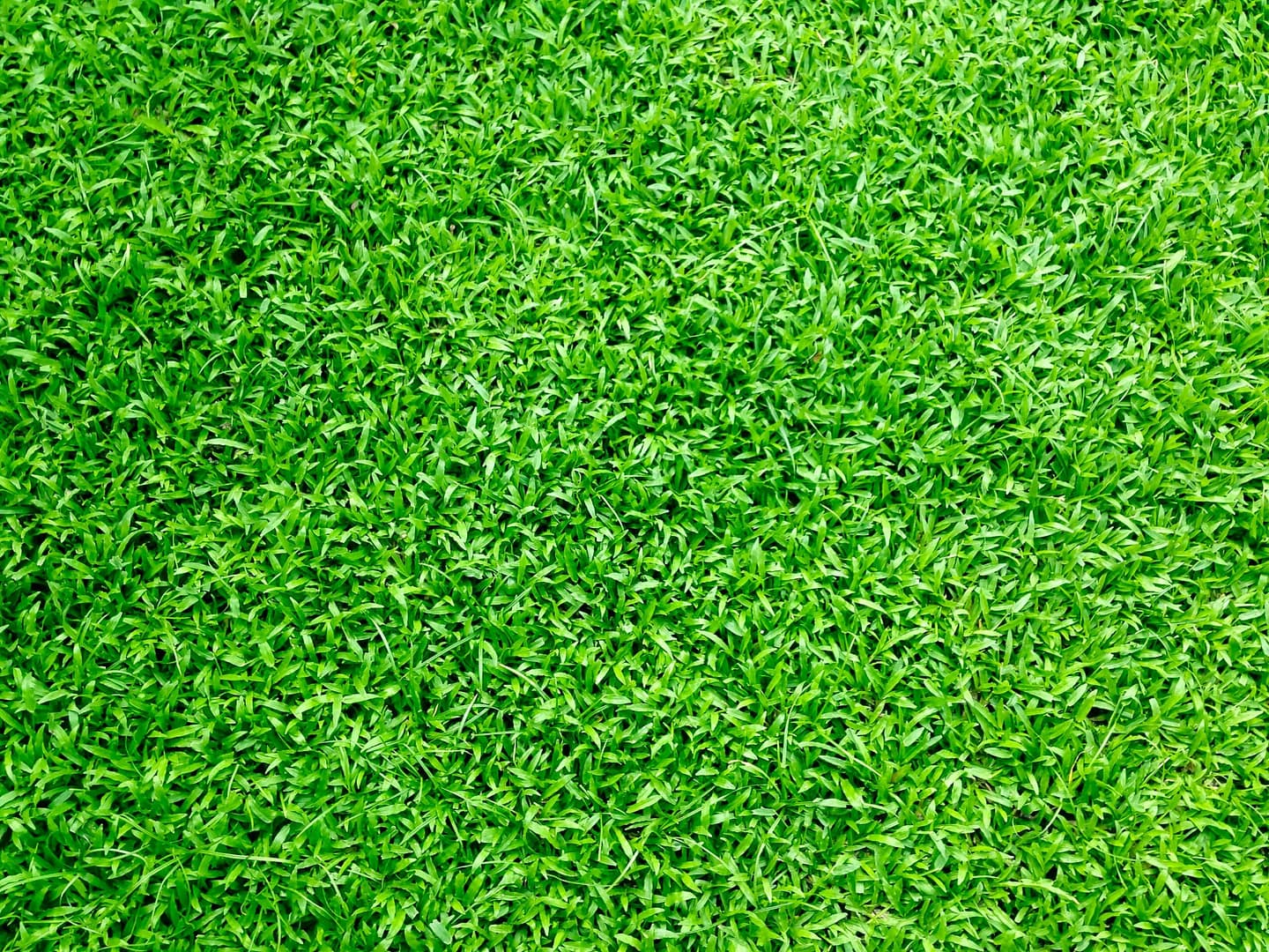 Lush Green Artificial Grass What Is Artificial Turf?