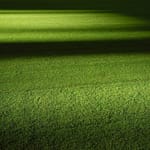 Environmental Impact of Artificial Grass