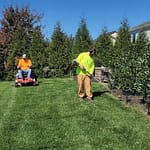 Easy to Maintain Artificial Turf