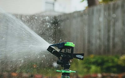 Artificial Turf & Water Conservation in Colorado