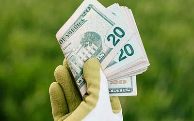 Reduce Your Water Bill with Artificial Grass