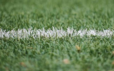 The Benefits of Thatching in Artificial Grass