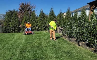 Is It Easy to Maintain Artificial Turf?