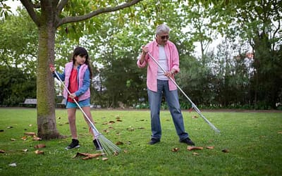 How to Clean Artificial Grass