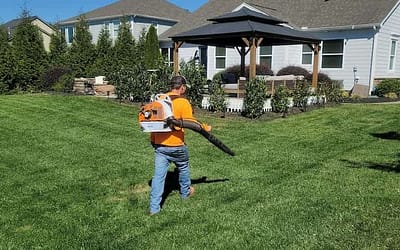 Artificial Grass Leaf Blowers