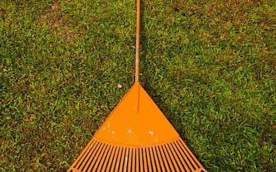Artificial Grass Rakes