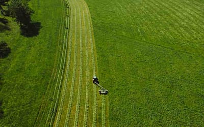 Artificial Grass Brushes