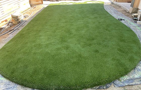 grass-yard-2