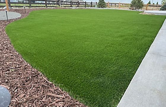 turf-yard