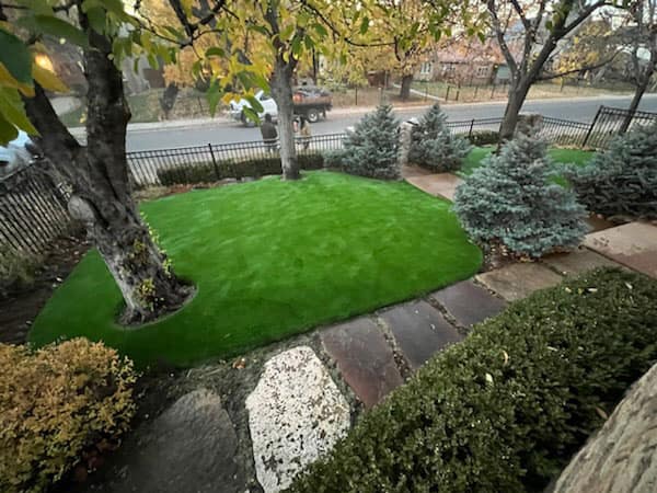 supreme-artificial-grass