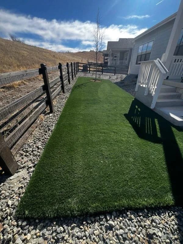 Drought-resistant landscaping in Colorado Springs, demonstrating effective water-wise strategies for sustainable gardens